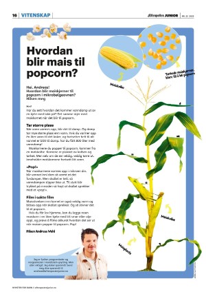 aftenposten_junior-20250603_000_00_00_016.pdf