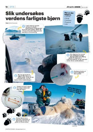aftenposten_junior-20250617_000_00_00_012.pdf