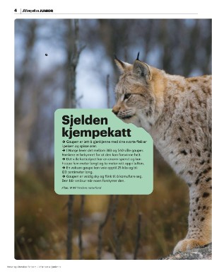 aftenposten_junior-20250714_000_00_00_004.pdf