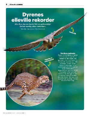 aftenposten_junior-20250714_000_00_00_008.pdf