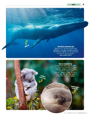 aftenposten_junior-20250714_000_00_00_009.pdf