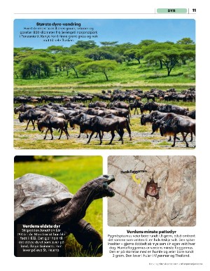 aftenposten_junior-20250714_000_00_00_011.pdf