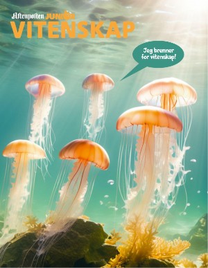 aftenposten_junior-20250714_000_00_00_072.pdf