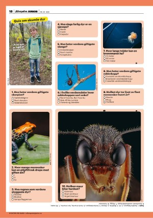 aftenposten_junior-20250729_000_00_00_018.pdf