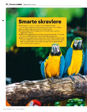aftenposten_junior-20251020_000_00_00_016.pdf