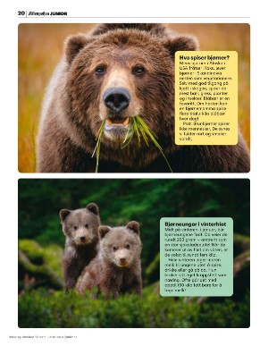 aftenposten_junior-20251020_000_00_00_020.pdf