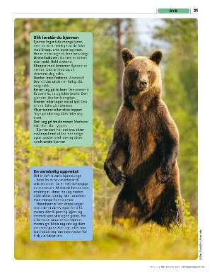 aftenposten_junior-20251020_000_00_00_021.pdf