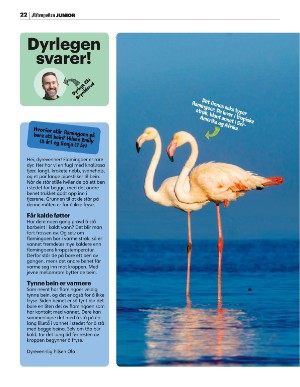 aftenposten_junior-20251020_000_00_00_022.pdf