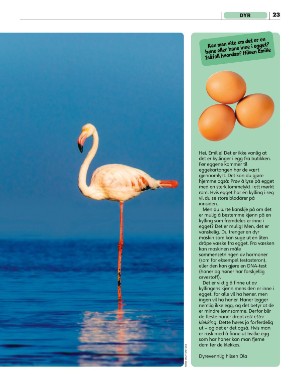 aftenposten_junior-20251020_000_00_00_023.pdf