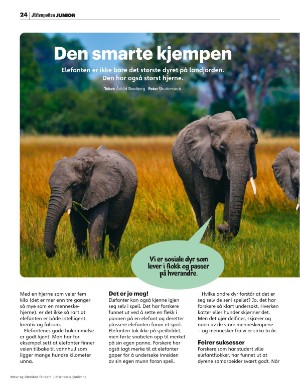 aftenposten_junior-20251020_000_00_00_024.pdf