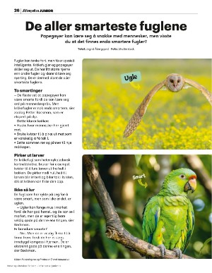 aftenposten_junior-20251020_000_00_00_026.pdf