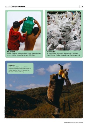 aftenposten_junior-20251104_000_00_00_003.pdf