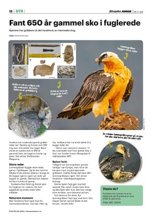 aftenposten_junior-20251125_000_00_00_012.pdf