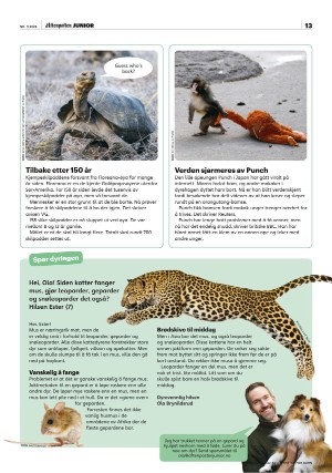 aftenposten_junior-20260303_000_00_00_013.pdf