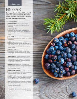 aftenposten_mat-20200214_000_00_00_080.pdf