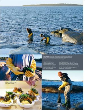 aftenposten_mat-20200313_000_00_00_010.pdf