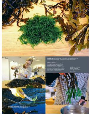 aftenposten_mat-20200313_000_00_00_013.pdf