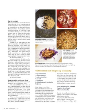 aftenposten_mat-20210117_000_00_00_098.pdf
