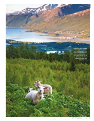 aftenposten_mat-20210314_000_00_00_031.pdf