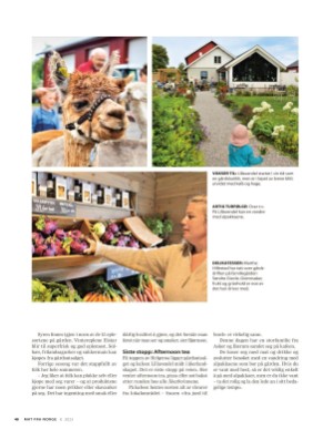 aftenposten_mat-20230816_000_00_00_048.pdf