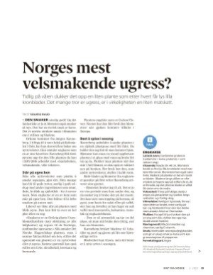 aftenposten_mat-20250507_000_00_00_099.pdf