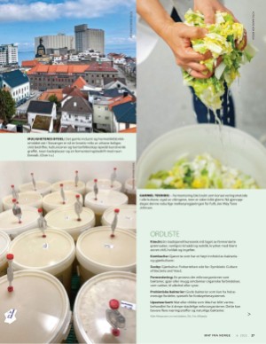 aftenposten_mat-20250611_000_00_00_027.pdf