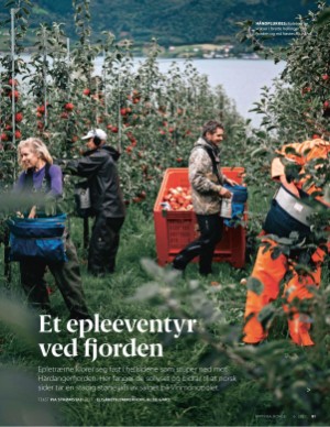 aftenposten_mat-20250611_000_00_00_081.pdf