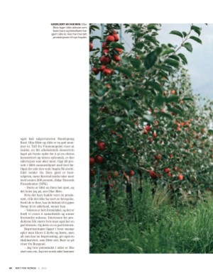 aftenposten_mat-20250611_000_00_00_084.pdf
