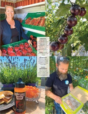aftenposten_mat-20250716_000_00_00_011.pdf
