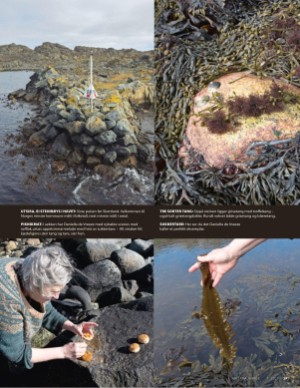 aftenposten_mat-20250716_000_00_00_039.pdf