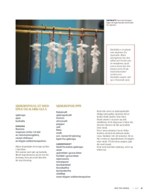 aftenposten_mat-20250716_000_00_00_045.pdf