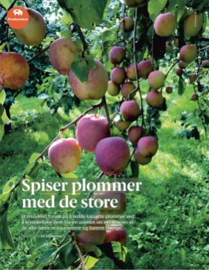 aftenposten_mat-20250716_000_00_00_048.pdf