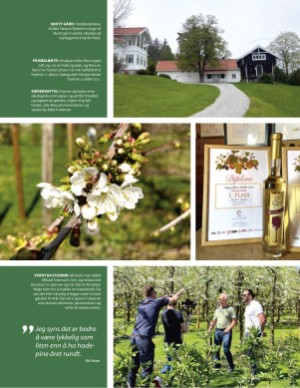 aftenposten_mat-20250716_000_00_00_051.pdf