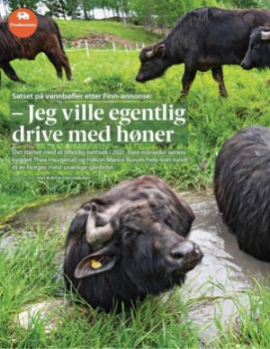 aftenposten_mat-20250716_000_00_00_088.pdf