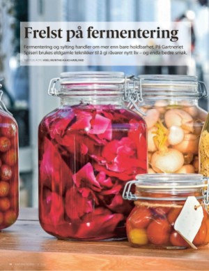 aftenposten_mat-20250813_000_00_00_010.pdf