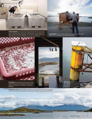 aftenposten_mat-20250813_000_00_00_079.pdf