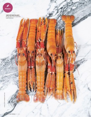 aftenposten_mat-20250813_000_00_00_096.pdf