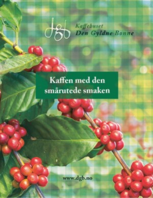 aftenposten_mat-20250813_000_00_00_104.pdf