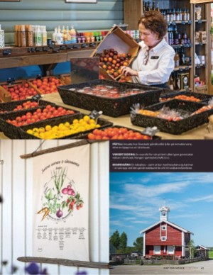 aftenposten_mat-20250917_000_00_00_061.pdf
