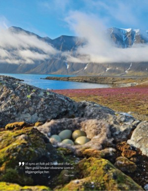 aftenposten_mat-20251015_000_00_00_011.pdf