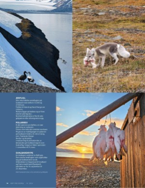 aftenposten_mat-20251015_000_00_00_014.pdf