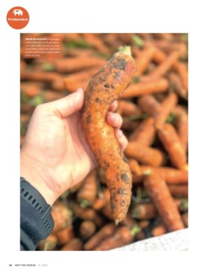 aftenposten_mat-20251015_000_00_00_056.pdf