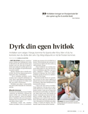 aftenposten_mat-20251015_000_00_00_061.pdf