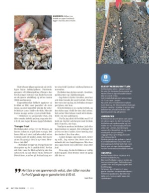 aftenposten_mat-20251015_000_00_00_062.pdf
