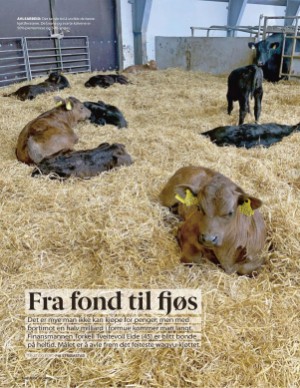 aftenposten_mat-20251015_000_00_00_074.pdf