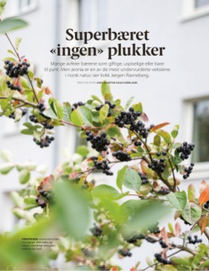 aftenposten_mat-20251015_000_00_00_099.pdf