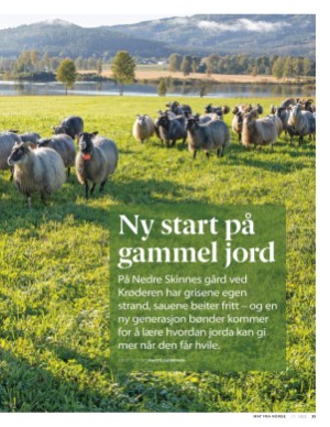aftenposten_mat-20251112_000_00_00_035.pdf