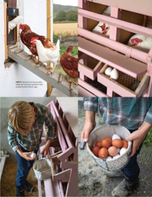 aftenposten_mat-20251112_000_00_00_037.pdf