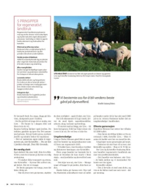 aftenposten_mat-20251112_000_00_00_038.pdf