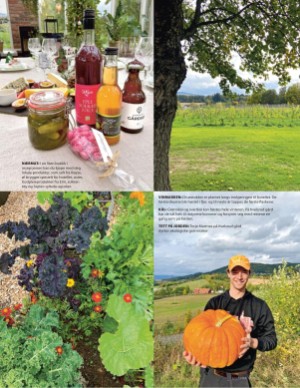 aftenposten_mat-20251217_000_00_00_049.pdf